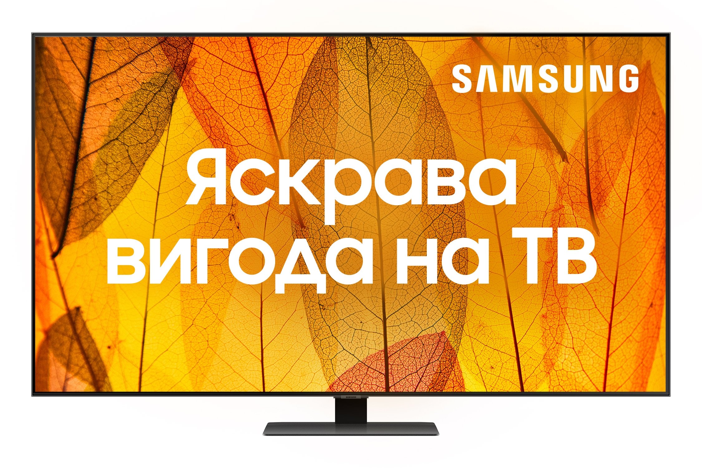 Телевизор Samsung QE65Q80AAUXUA QLED (2021) - фото 1 - samsungshop.com.ua