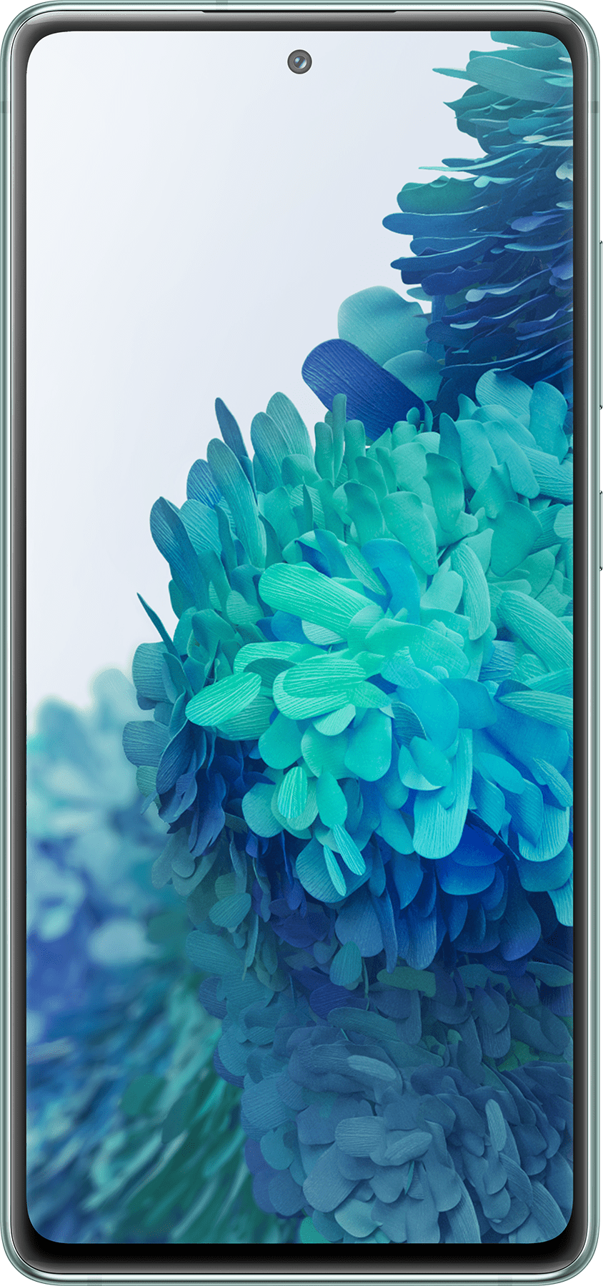 Смартфон Samsung Galaxy S20 FE 2021 G780G 128 GB Green - фото 1 - samsungshop.com.ua