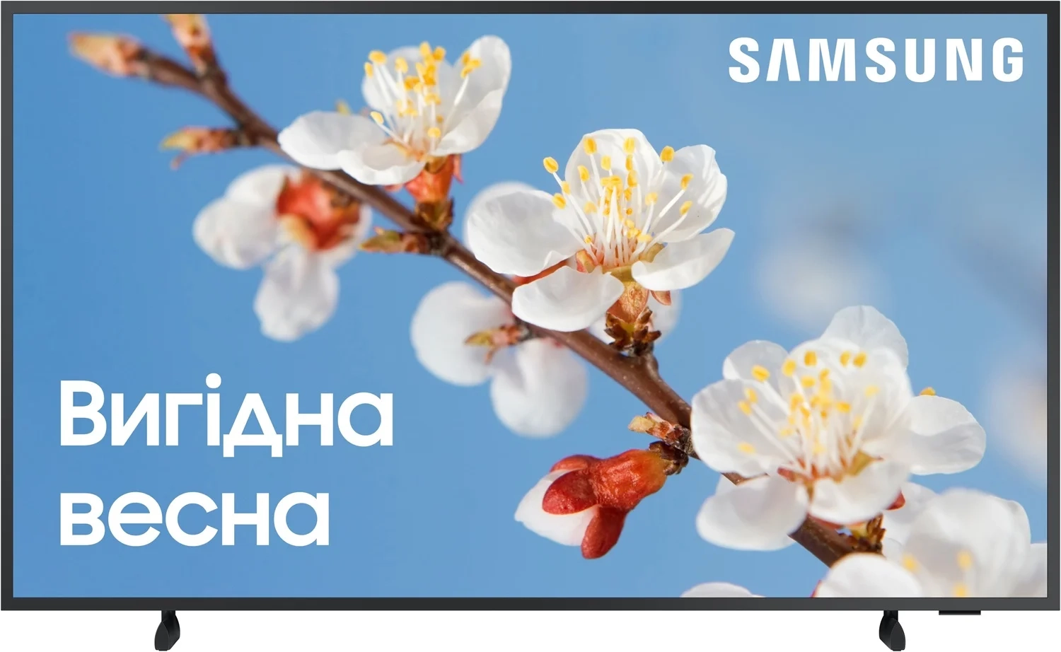 Телевизор Samsung QE43LS03BAUXUA The Frame (2022) - фото 1 - samsungshop.com.ua