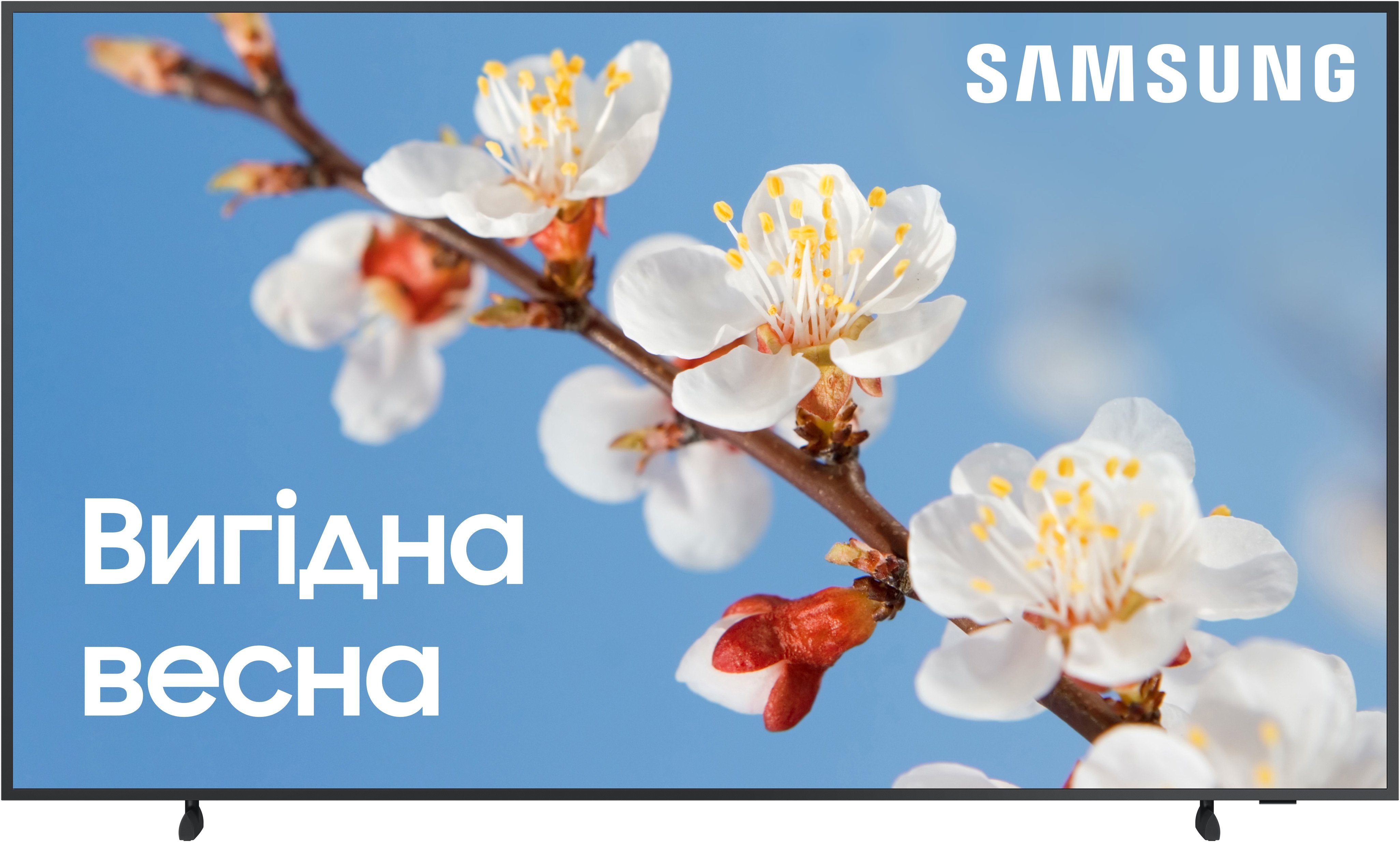 Телевізор Samsung QE65LS03BAUXUA The Frame (2022) - фото 1 - samsungshop.com.ua