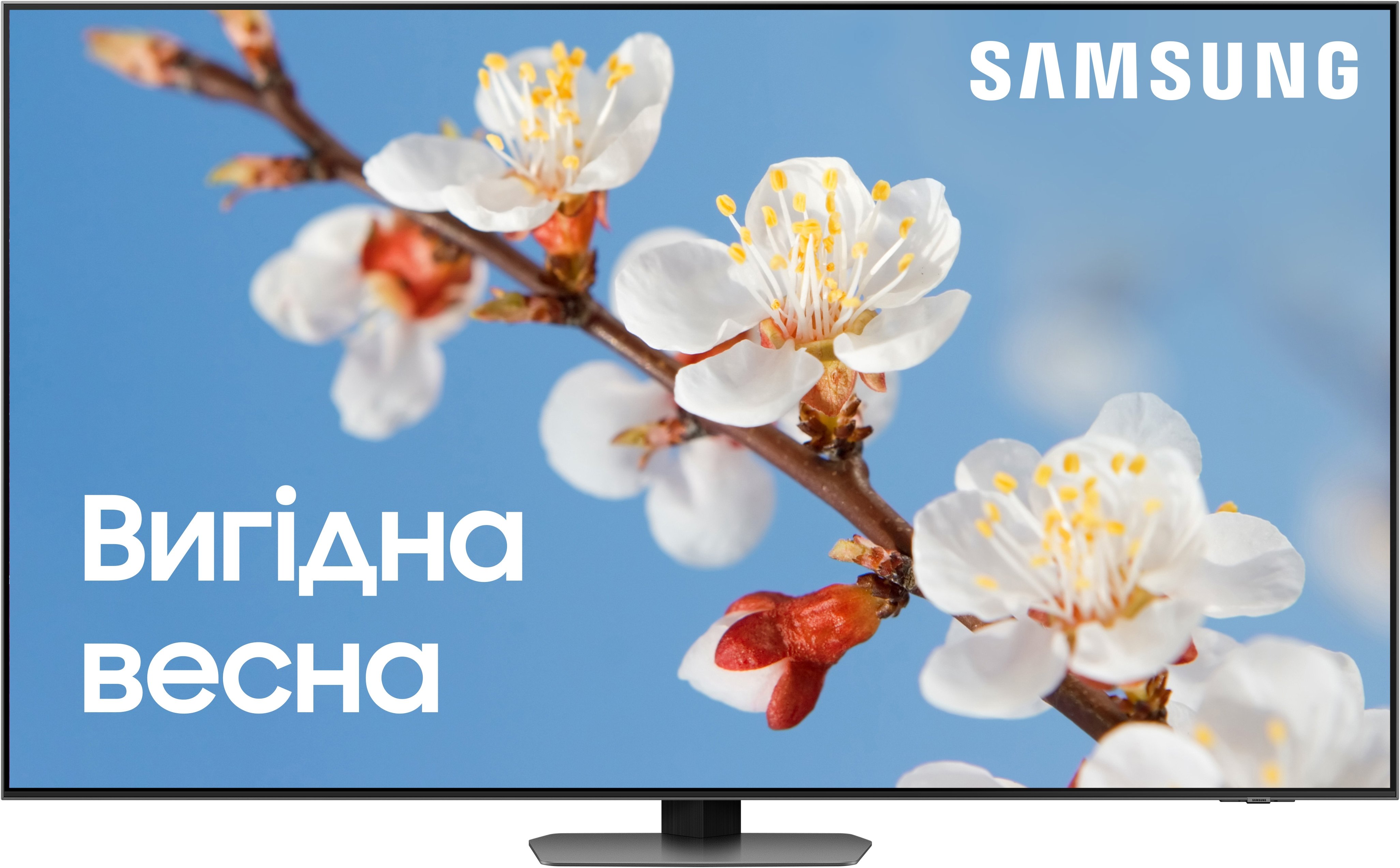 Телевізор Samsung QE65QN90CAUXUA Neo QLED (2023) - фото 1 - samsungshop.com.ua