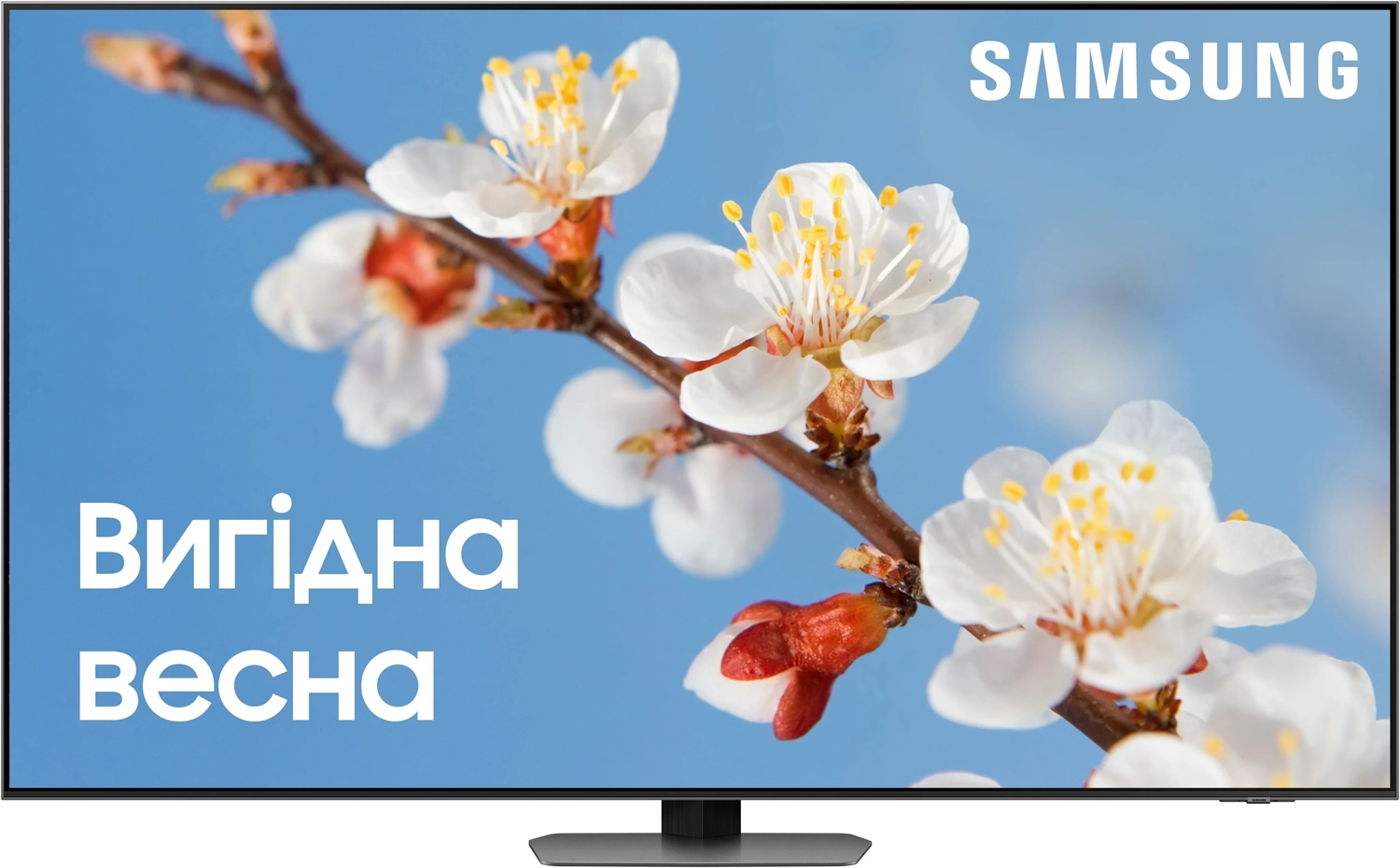 Телевизор Samsung QE65QN90CAUXUA Neo QLED (2023) - фото 1 - samsungshop.com.ua