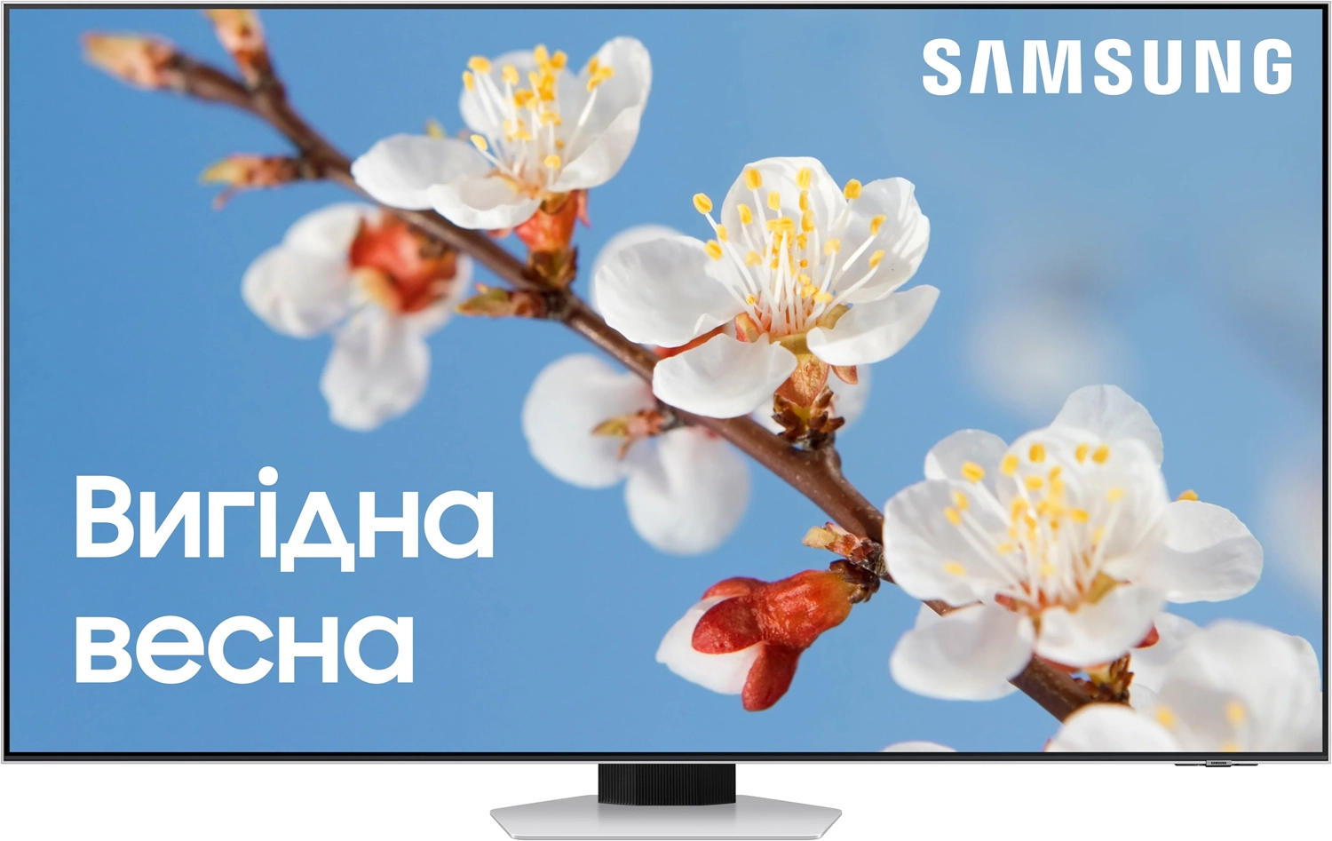Телевизор Samsung QE85QN85CAUXUA Neo QLED (2023) - фото 1 - samsungshop.com.ua