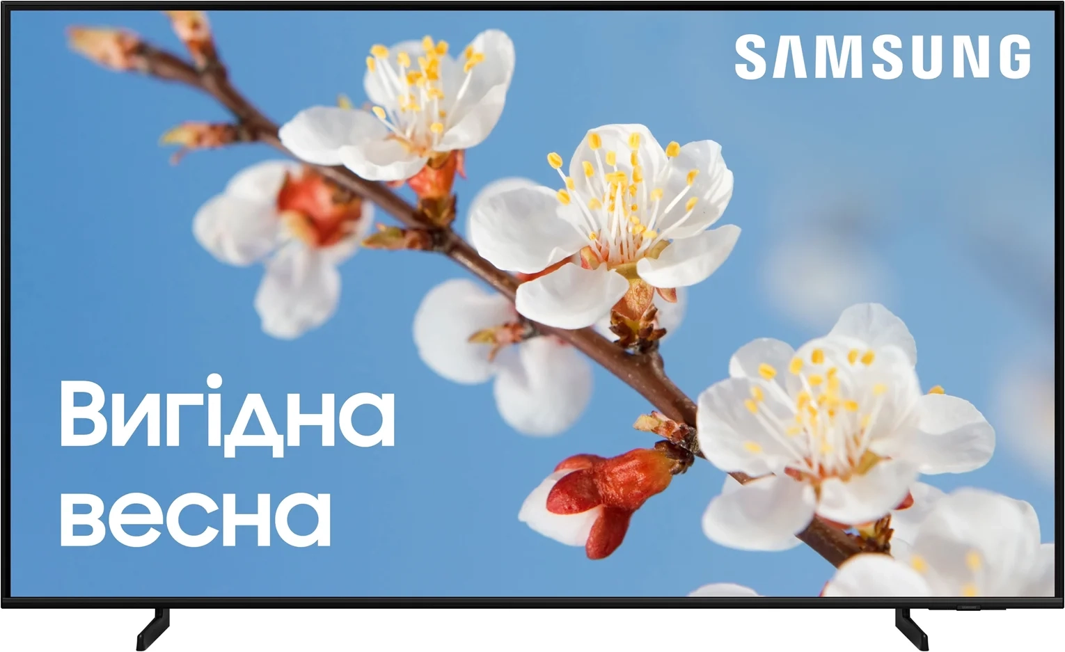 Телевізор Samsung QE65Q60CAUXUA QLED (2023) - фото 1 - samsungshop.com.ua