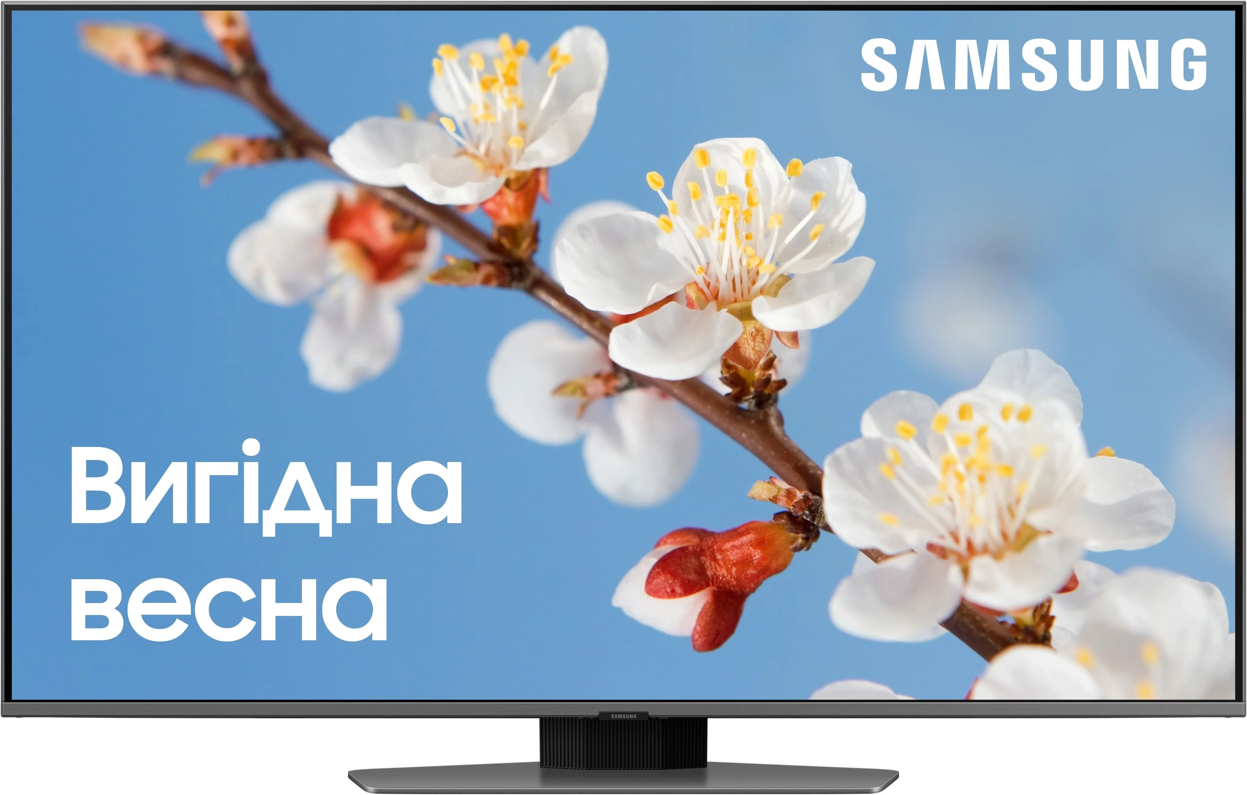 Телевізор Samsung QE50Q80CAUXUA QLED (2023) - фото 1 - samsungshop.com.ua