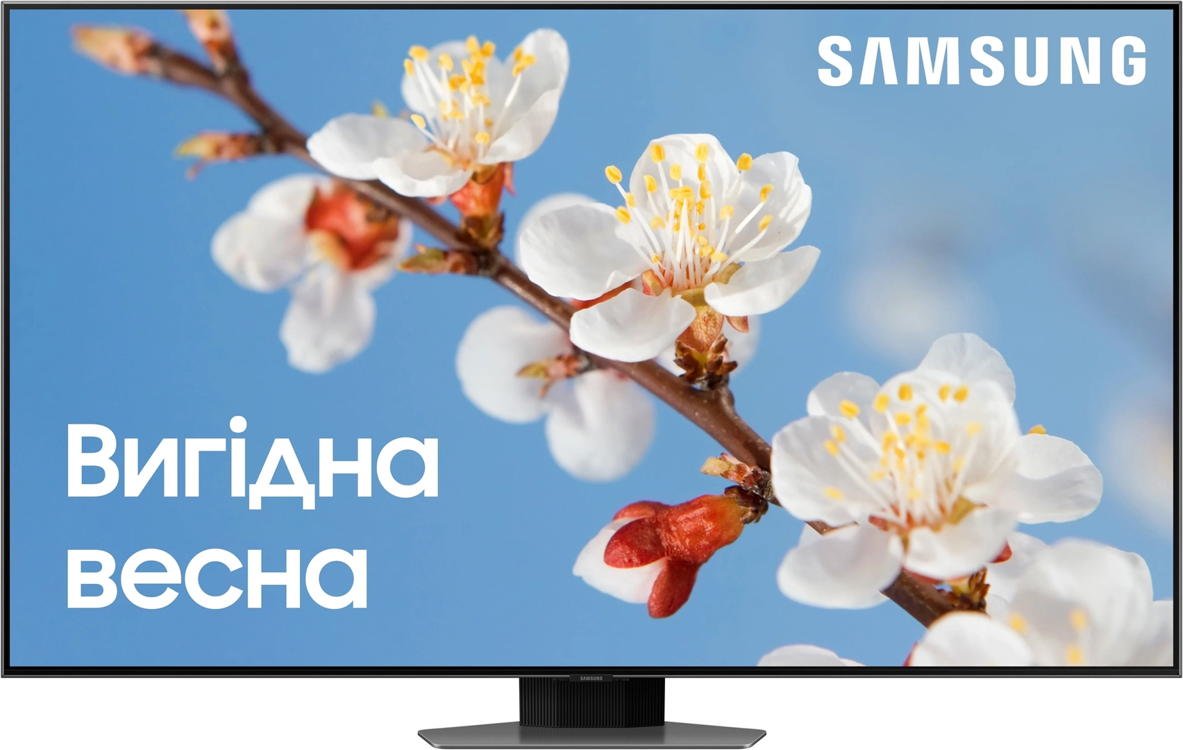 Телевизор Samsung QE55Q80CAUXUA QLED (2023) - фото 1 - samsungshop.com.ua