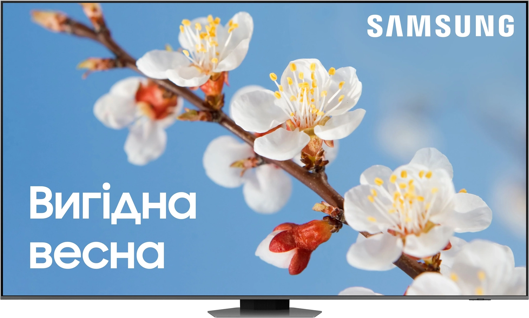 Телевізор Samsung QE98Q80CAUXUA QLED (2023) - фото 1 - samsungshop.com.ua