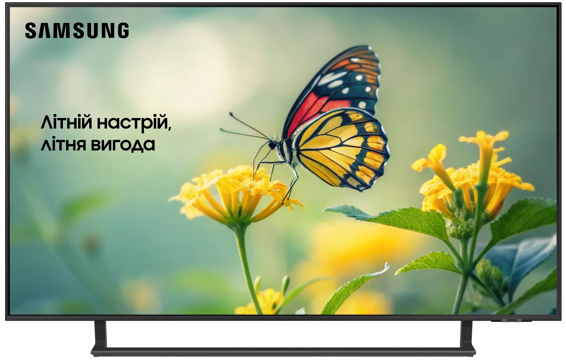 Телевізор Samsung UE50DU8500UXUA (2024) - Фото 1