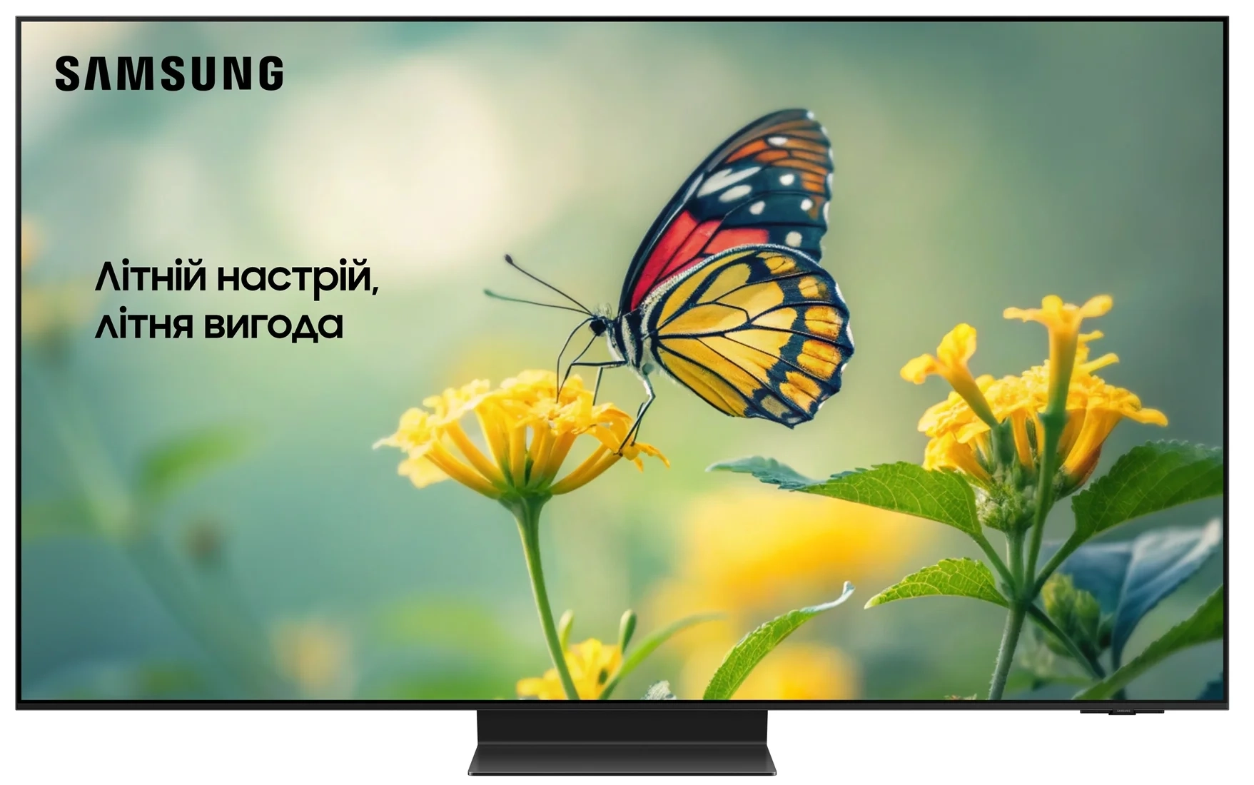 Телевізор Samsung 55" OLED QE55S95DAUXUA - Фото 1