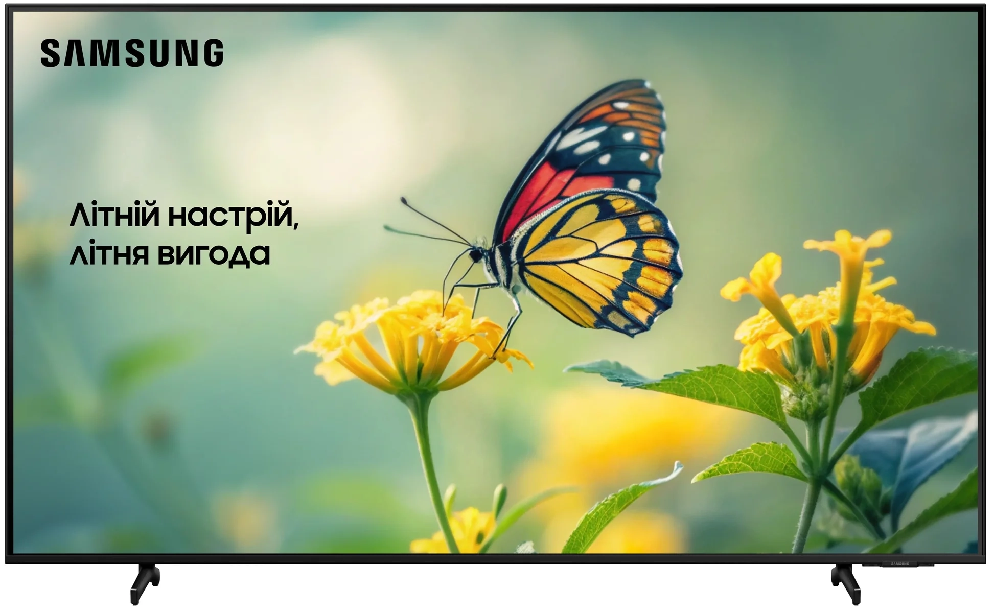 Телевизор Samsung 75" Crystal UHD UE75DU8000UXUA - Фото 1